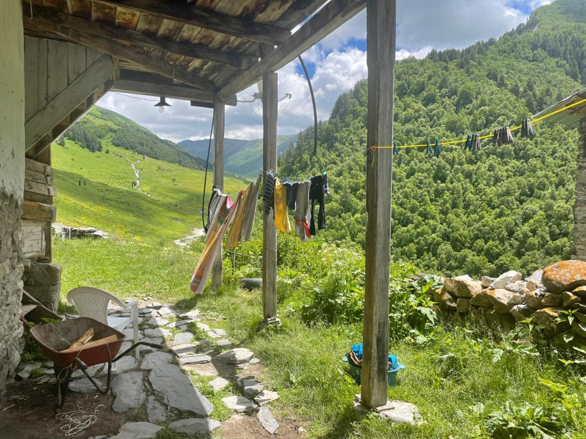 Gunter Guest House Adishi Dış mekan fotoğraf
