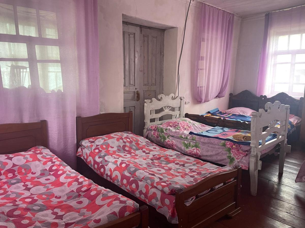 Gunter Guest House Adishi Dış mekan fotoğraf