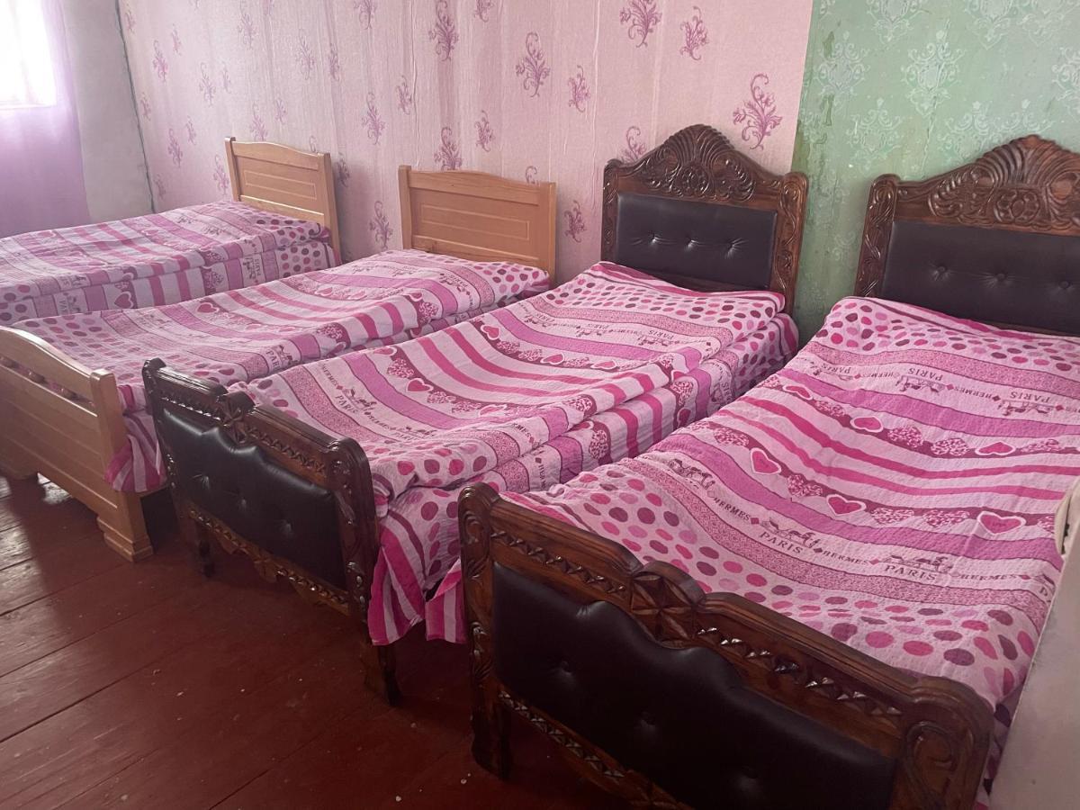 Gunter Guest House Adishi Dış mekan fotoğraf